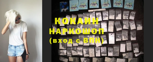 индика Иннополис