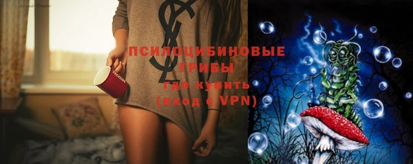 индика Иннополис