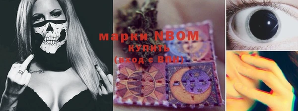 винт Инсар