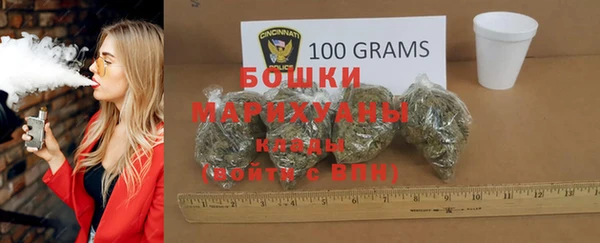 винт Инсар
