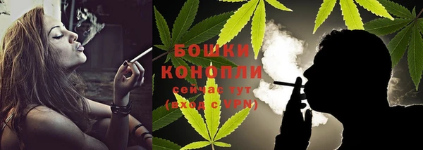 индика Иннополис