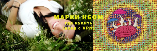 индика Иннополис