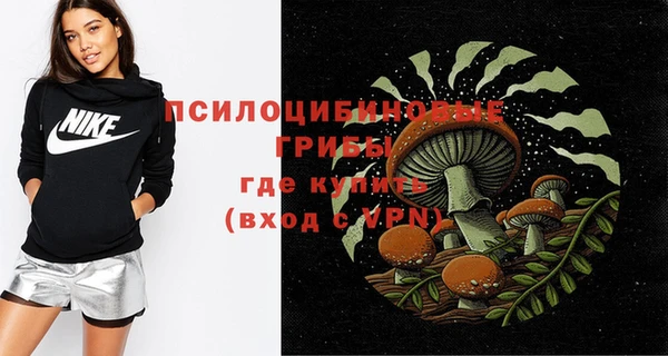 прущие крисы Инта