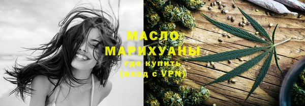 индика Иннополис
