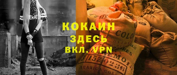 индика Иннополис