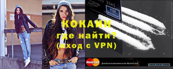 индика Иннополис