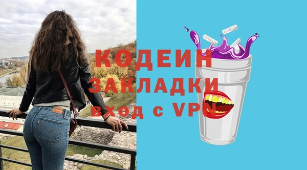 индика Иннополис