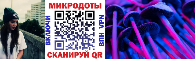 Купить закладки  Кулебаки  Галлюциногенные грибы ЛСД 